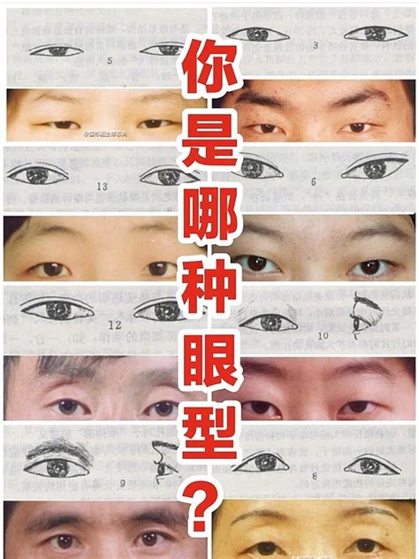 眼睛面相男|面相好不好？一半看眼睛！最全眼型圖解